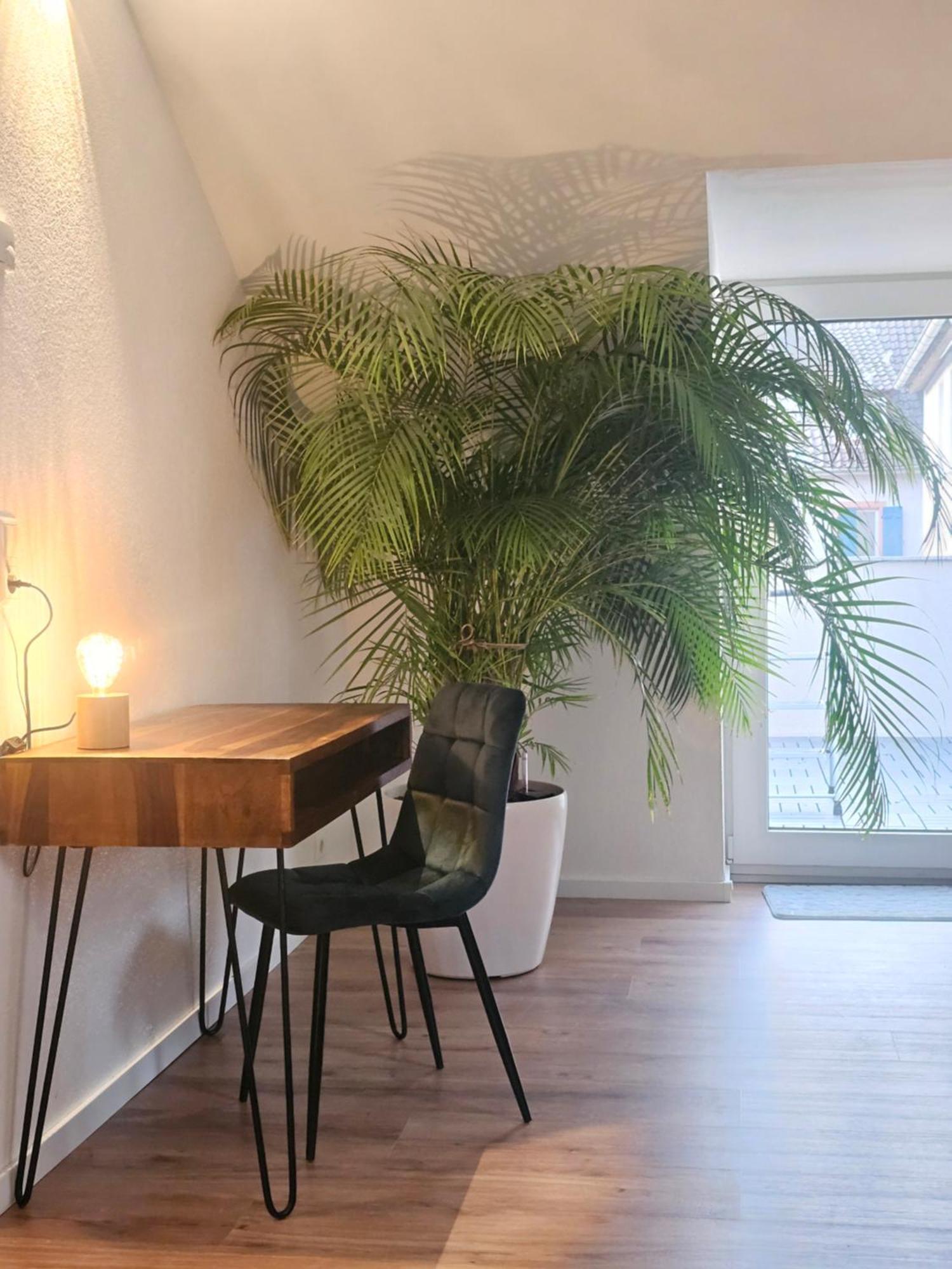 Design-Penthouse I 90Qm I Europapark 20 Min I Boxspring I Nespresso I Parking Appartement Lahr  Buitenkant foto